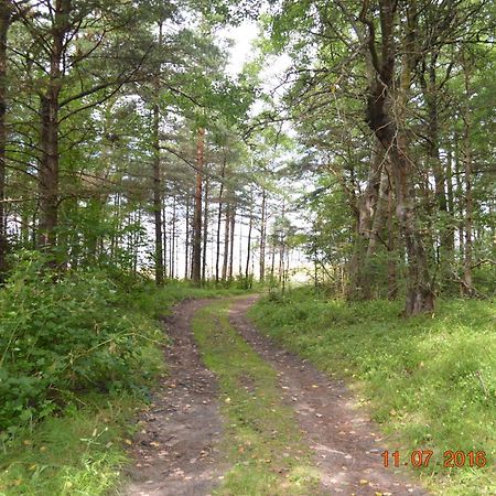 Kempings Videnieki Liepene Exteriér fotografie